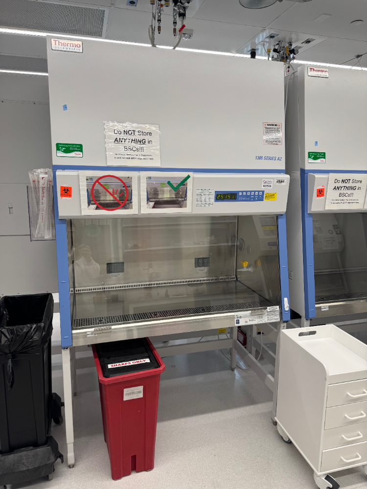 Image of Thermo 1300 Series A2 4' BioSafety Cabinet